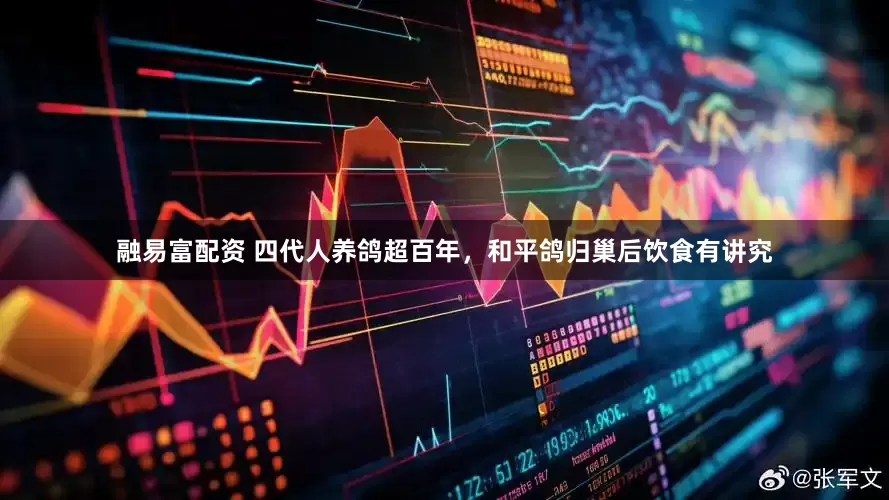 融易富配资 四代人养鸽超百年，和平鸽归巢后饮食有讲究