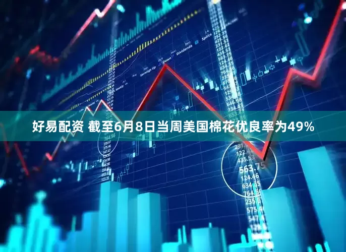 好易配资 截至6月8日当周美国棉花优良率为49%